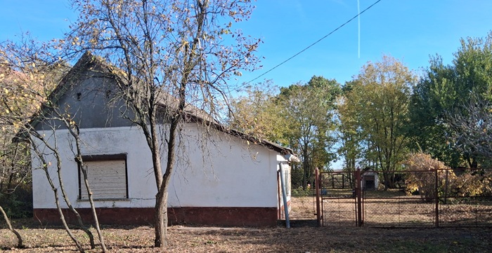 🏠 CASĂ DE VÂNZARE ÎN BĂTANIA – LA GRANIȚA CU ROMÂNIA!